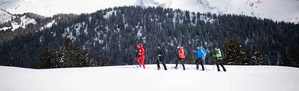 Randonnées raquettes groupes